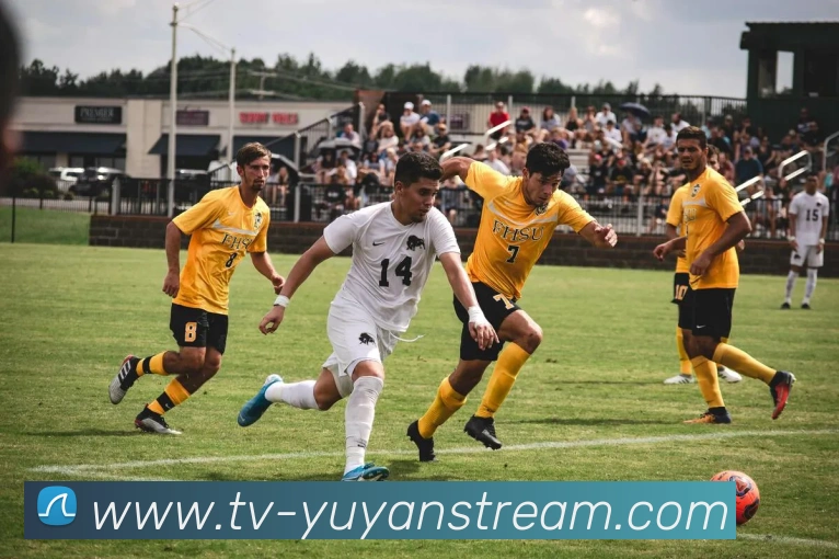 雨燕体育直播品牌故事