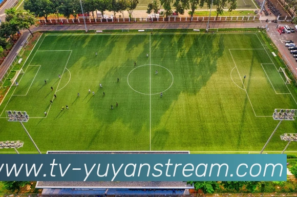 雨燕体育直播服务体系